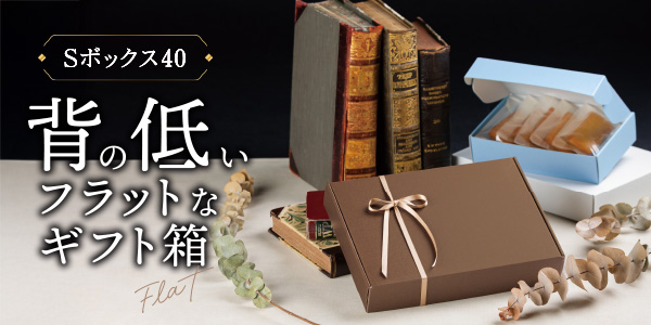 Sボックス40